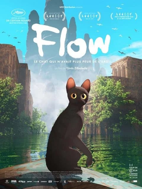 Flow - Cinéma en plein air
