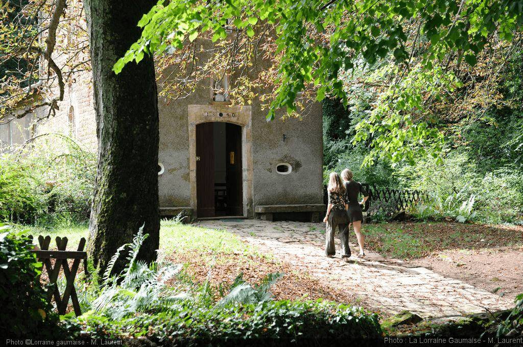 Guided Walk: Torgny and its Vineyard