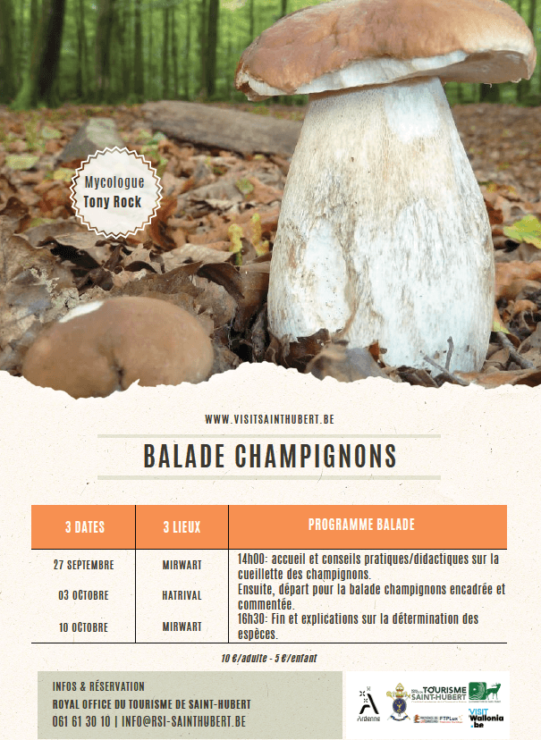 Balade champignons