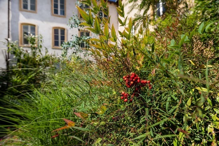 Visite jardin et patrimoine-matrimoine