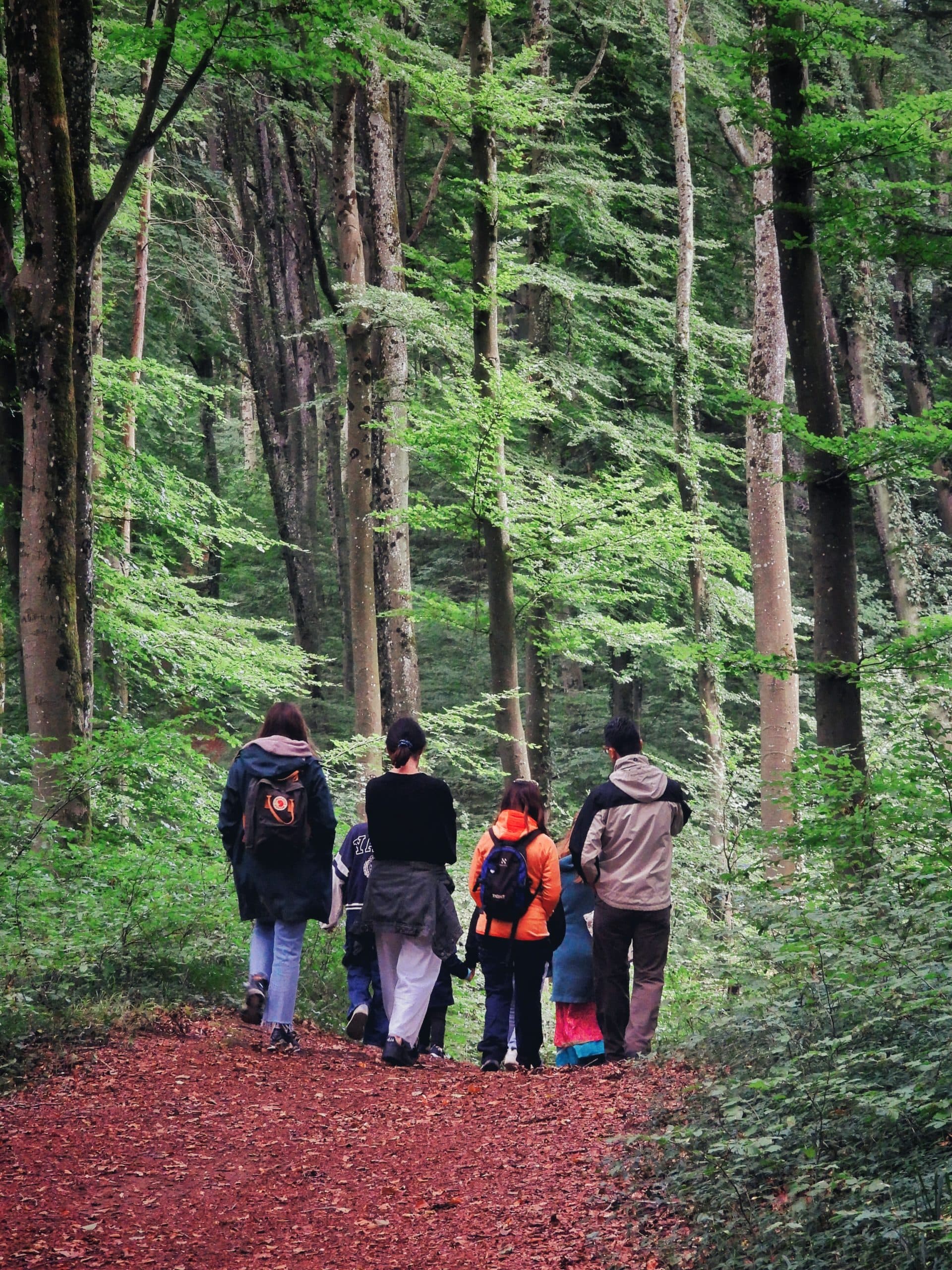 Hiking by Ursula