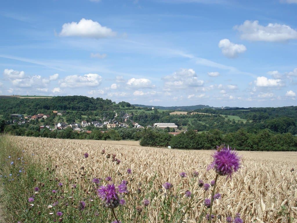 Village Festival