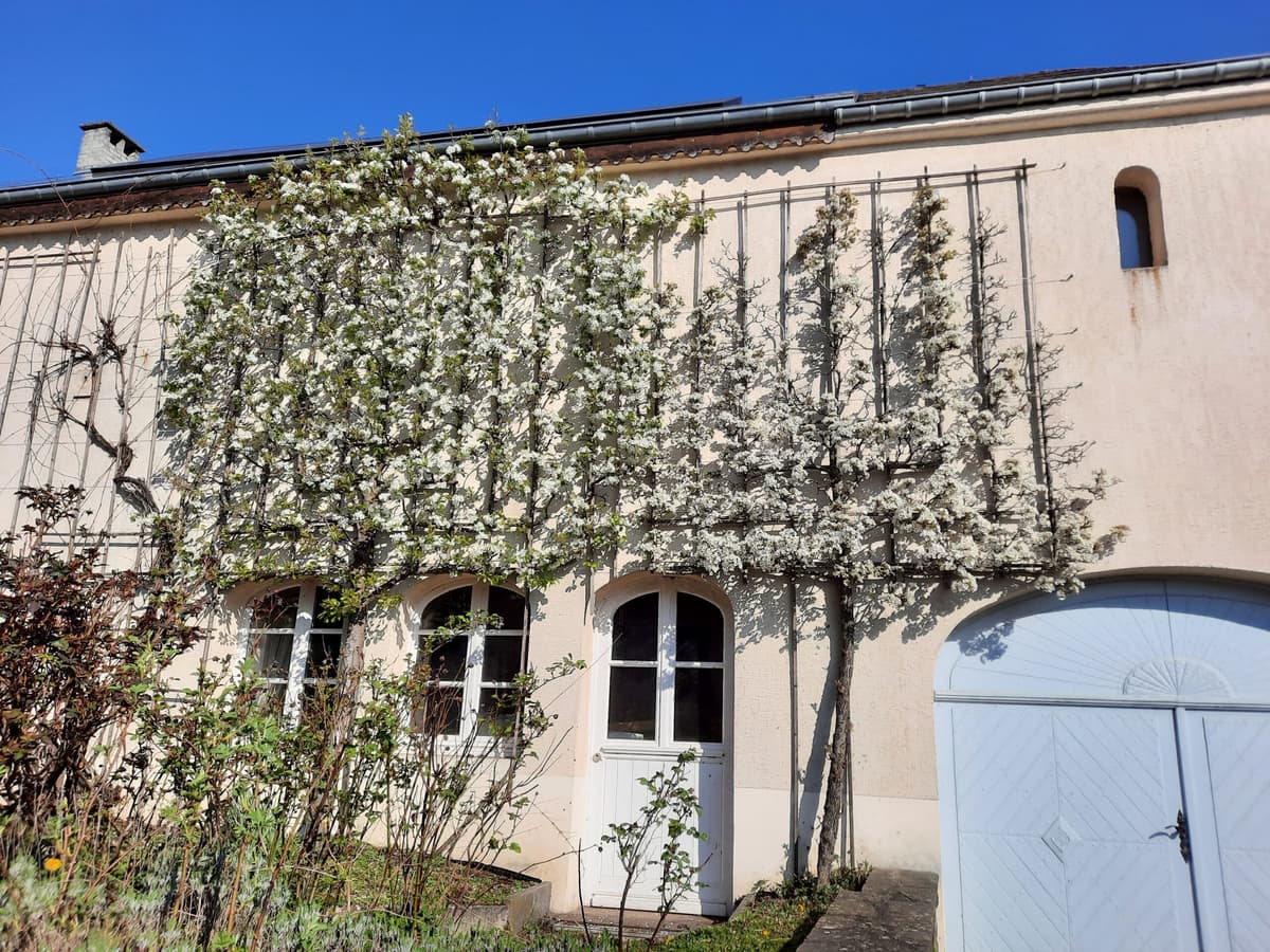 Introduction: Greened Facade