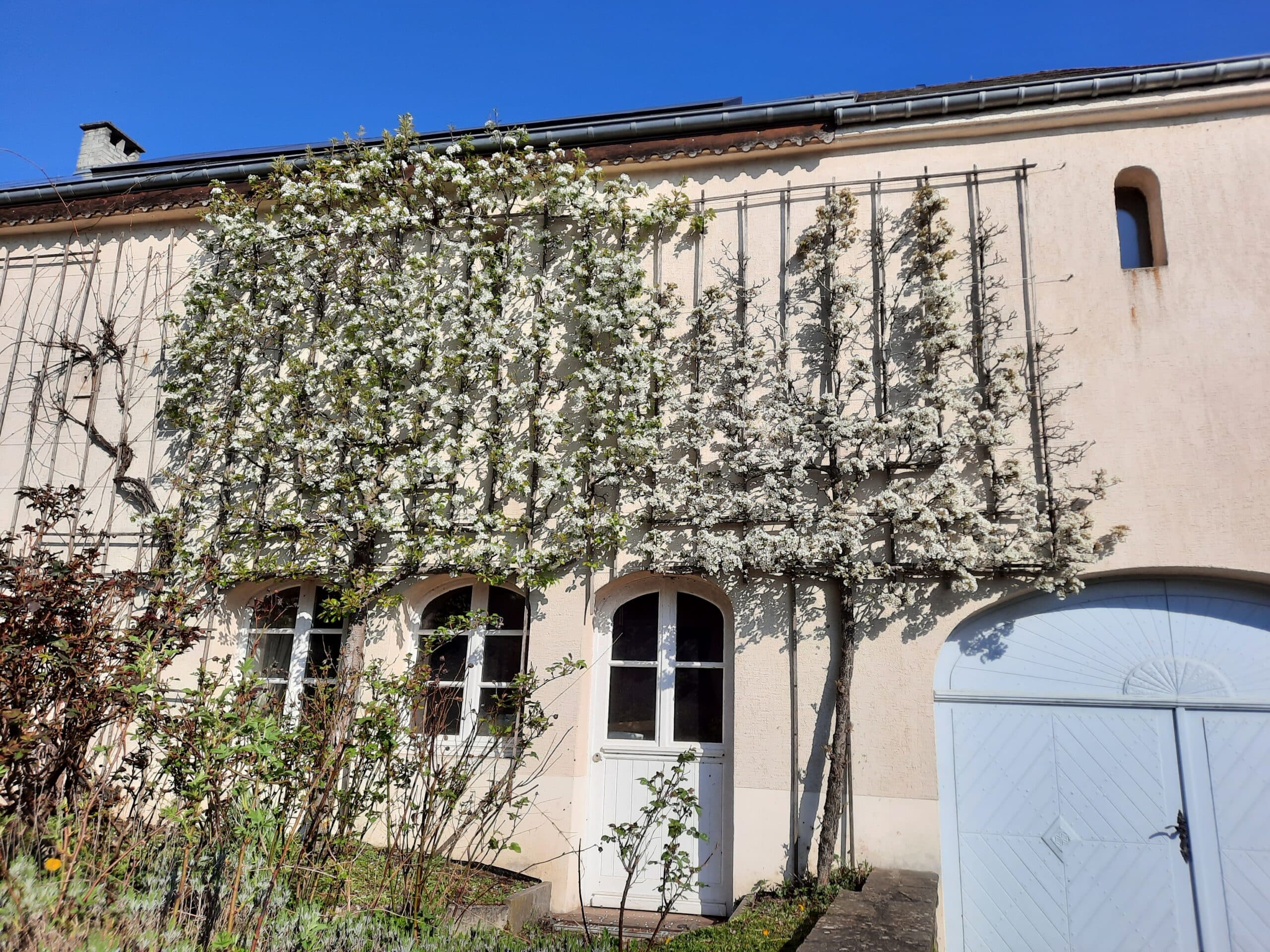 Introduction: Greened Facade