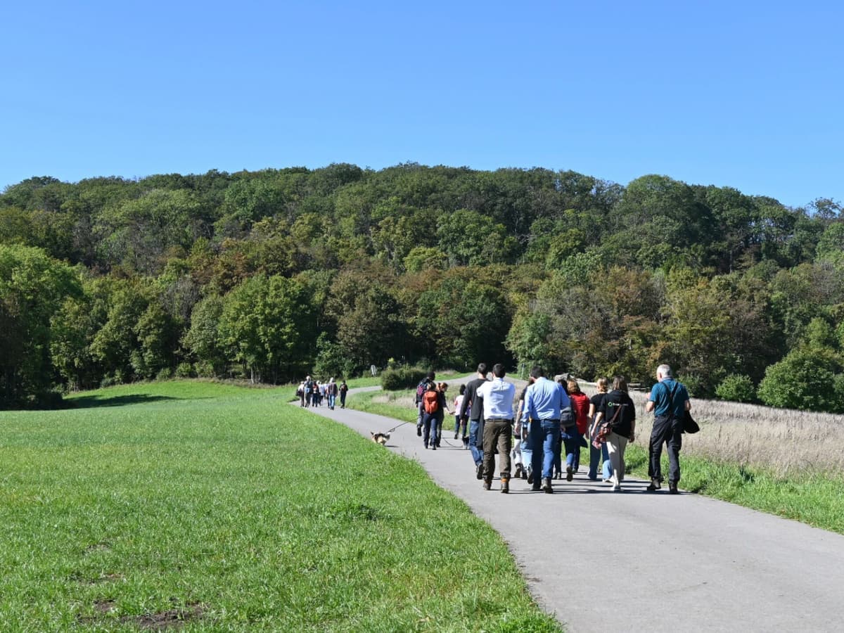 Walk and discussion (4–6 km)