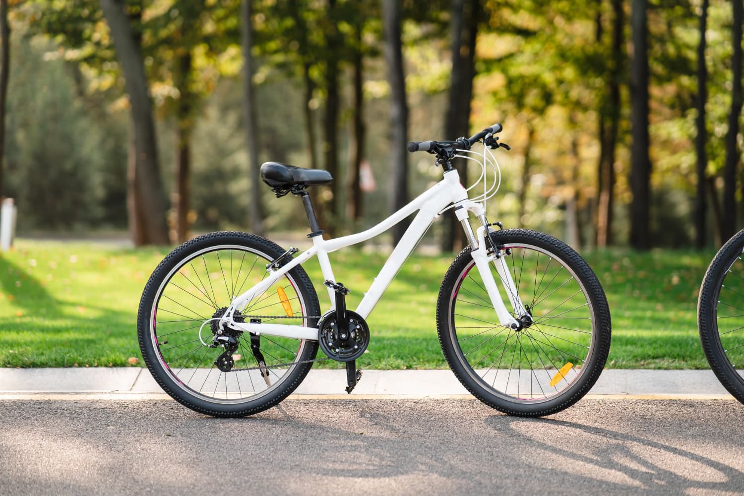 Bourse à vélos