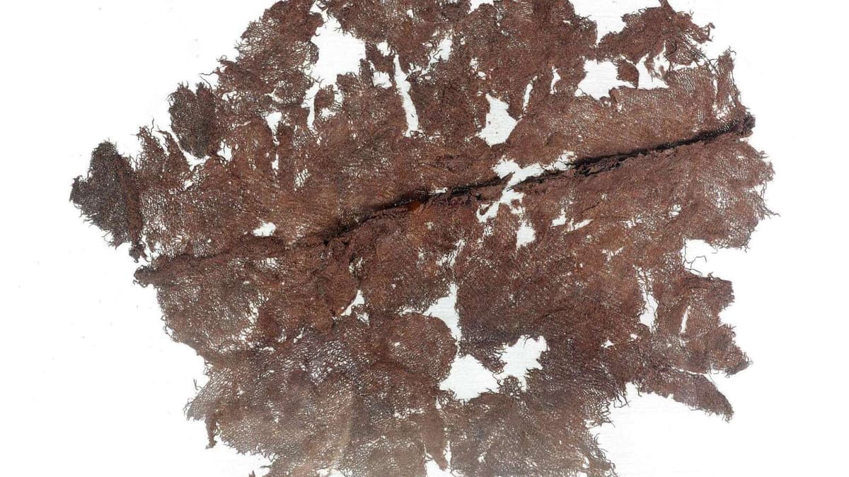 Hungry for culture – Textiles from the Altrier tomb