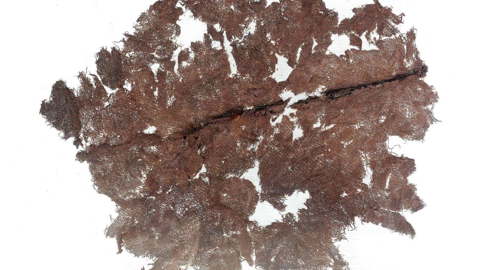 Hungry for culture – Textiles from the Altrier tomb