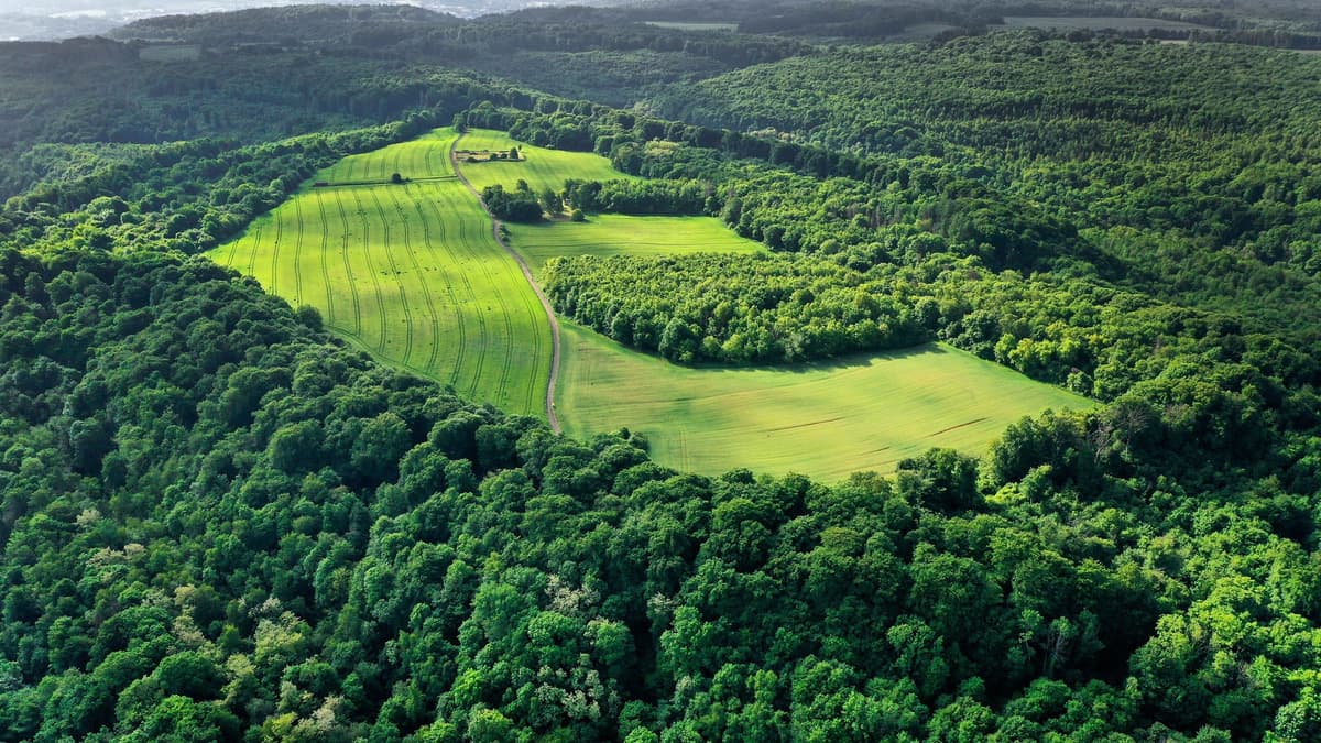 Titelberg Within Reach