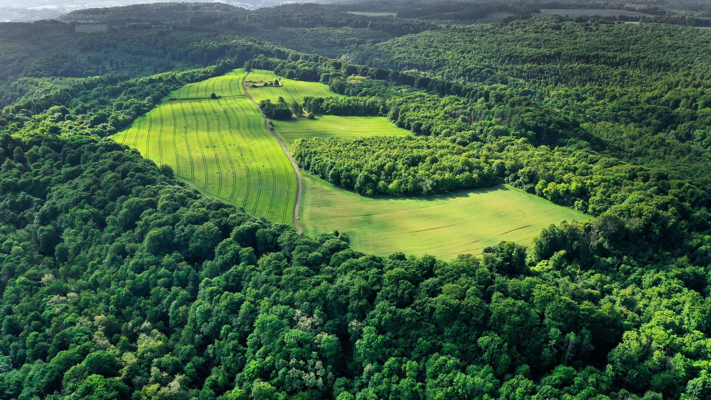 Titelberg Within Reach