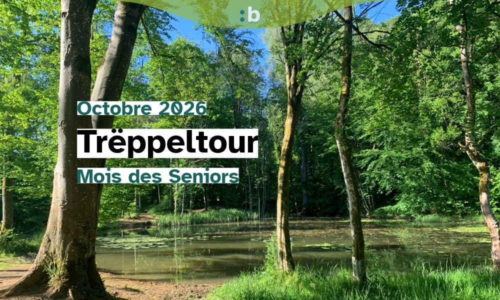 Hike: discover the nature trail through Ellergronn