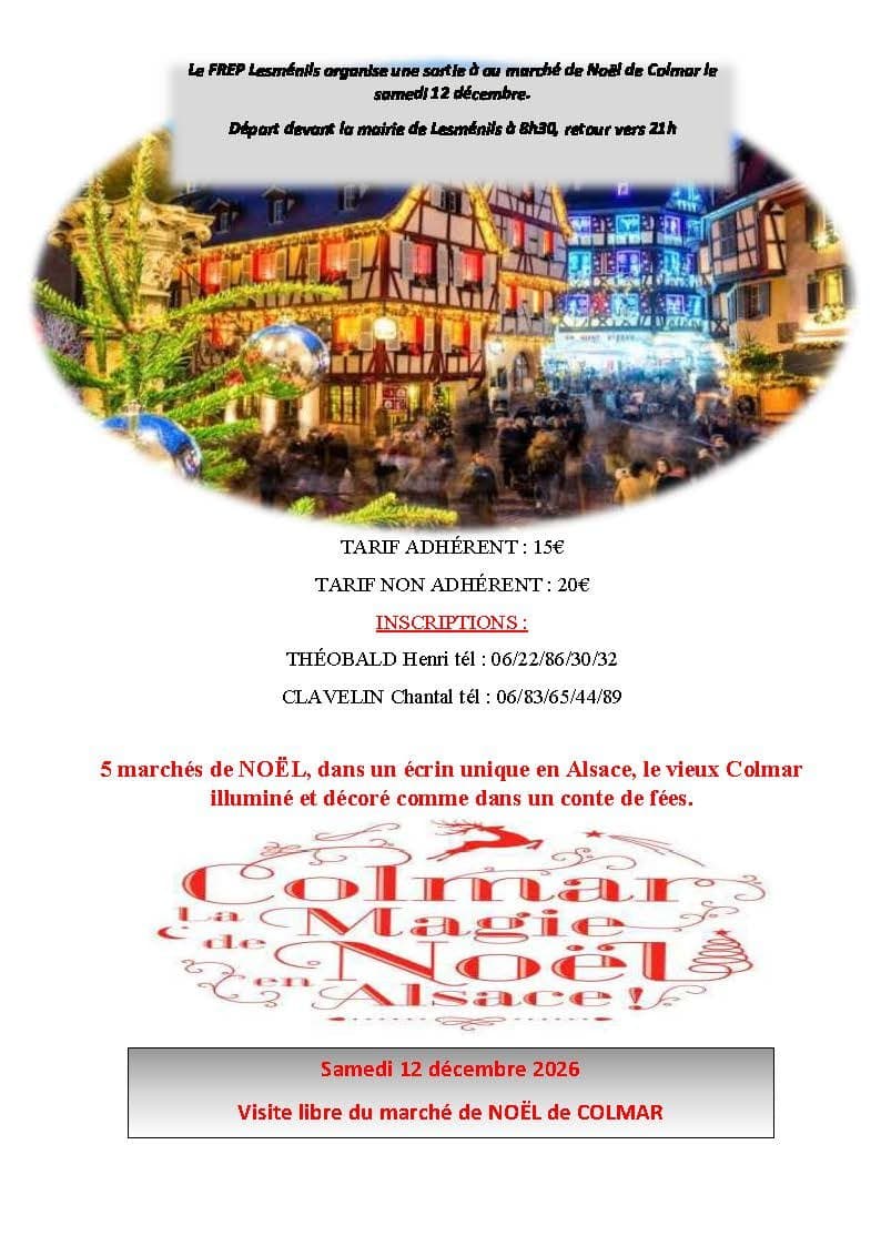 Sortie au marché de Noël de Colmar