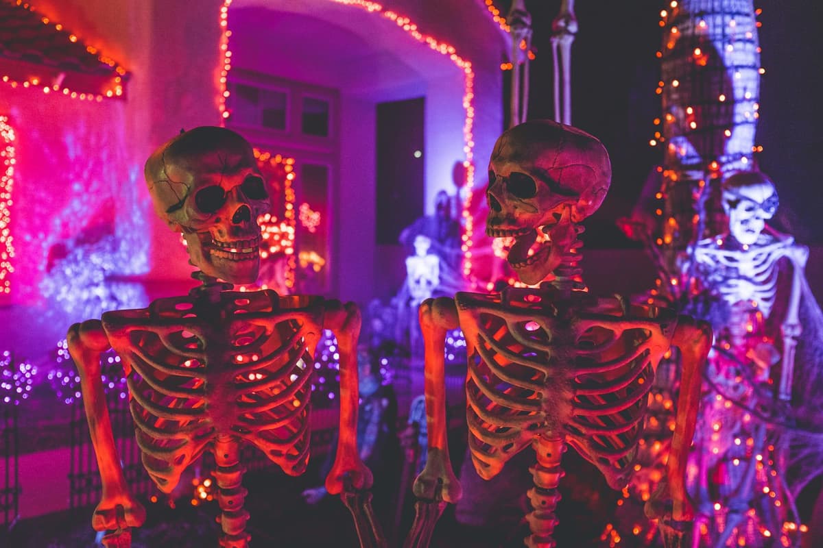 Halloween Party Night