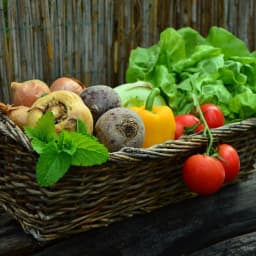 Metz Veggie Festival