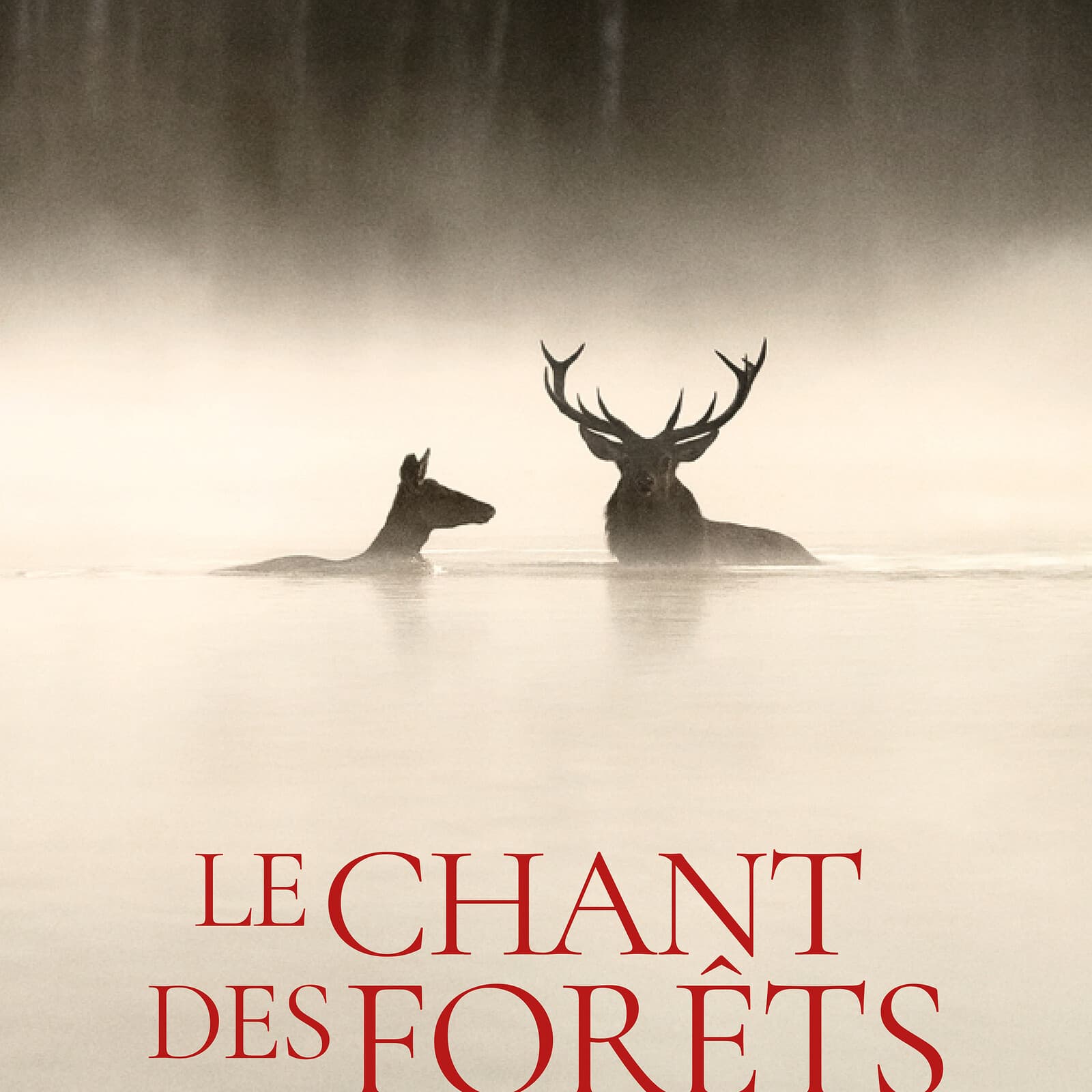 Séance cinéma "Le chant des forêts"