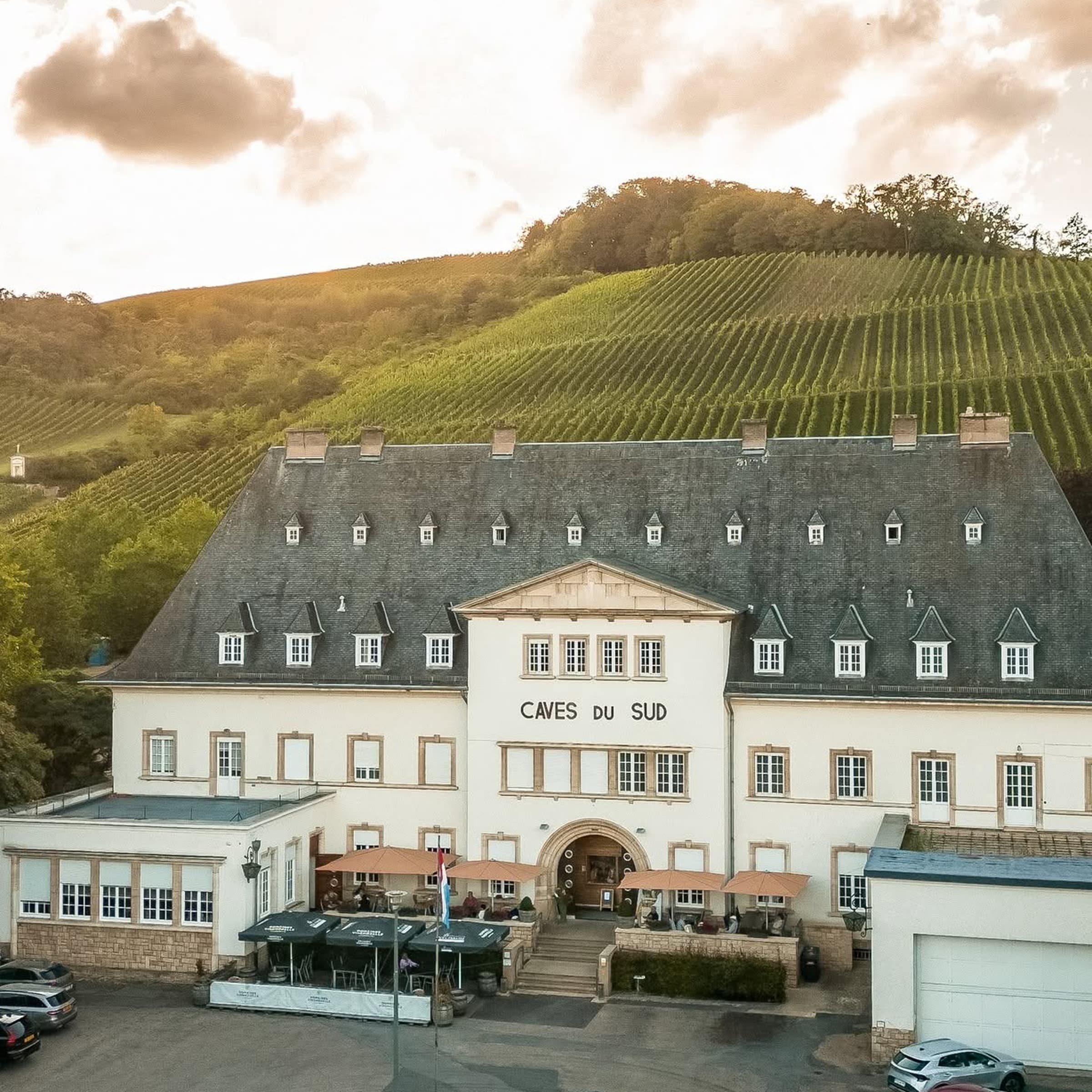 Afterwork in the middle of the vineyards