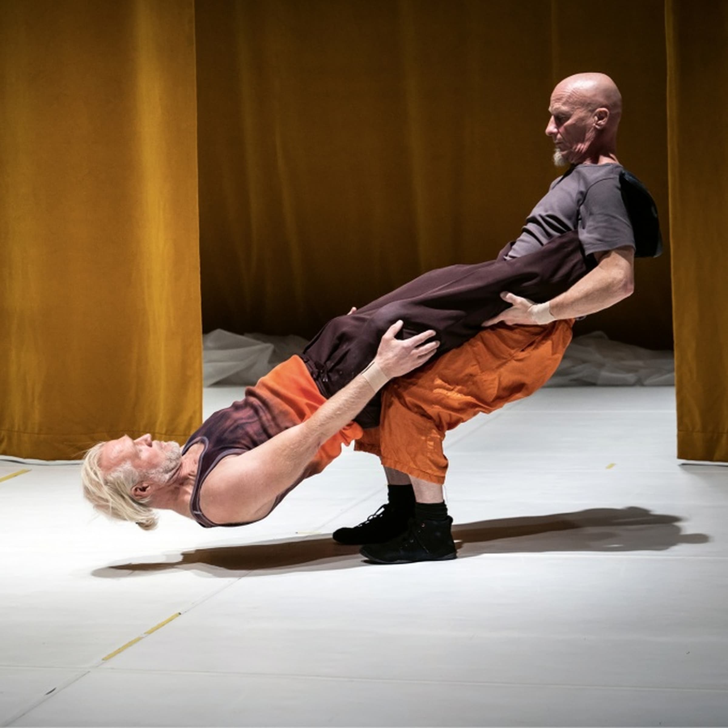 Spectacle de cirque - Glorious Bodies