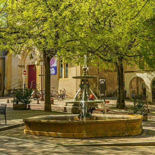 From the cathedral to the Sainte-Croix hill, a bilingual French-German tour