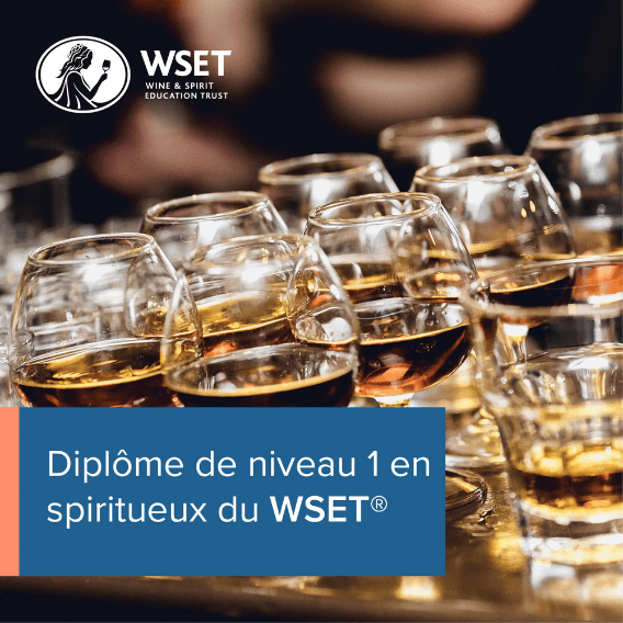 WSET Spiritueux Niveau 1 (FR)