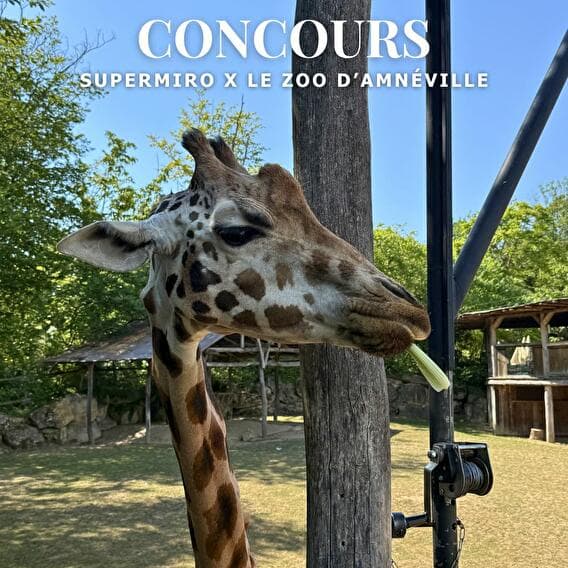Concours Supermiro x Zoo d'Amnéville