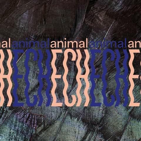 Guided tours animalECH [LU | FR | DE | ENGL]