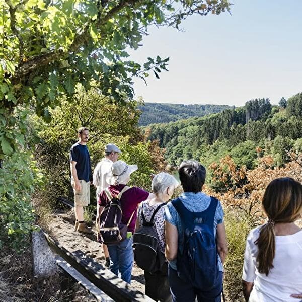 Hiking with a nature park ranger