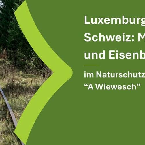 Luxembourg's Little Switzerland: Mills and Railway (8.5 km)