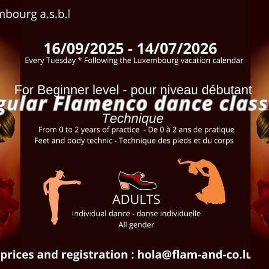 Flamenco pour adultes : débutant - technique (tous les mardis)