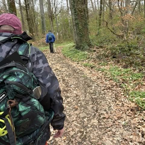 Guided walk – The Guerlange woods in summer colours