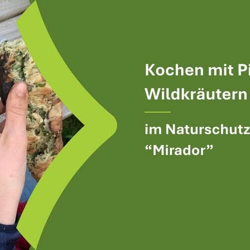 Cooking with mushrooms and wild herbs in December