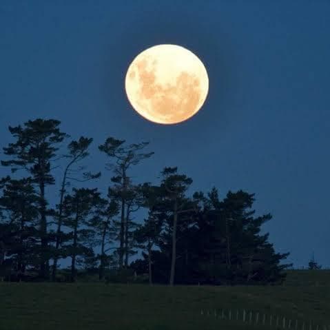 Soirée Astronomie