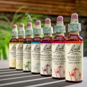 Free talk on Bach flower remedies with Christiane Goeres