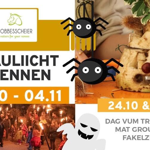 Trauliicht à la Robbesscheier