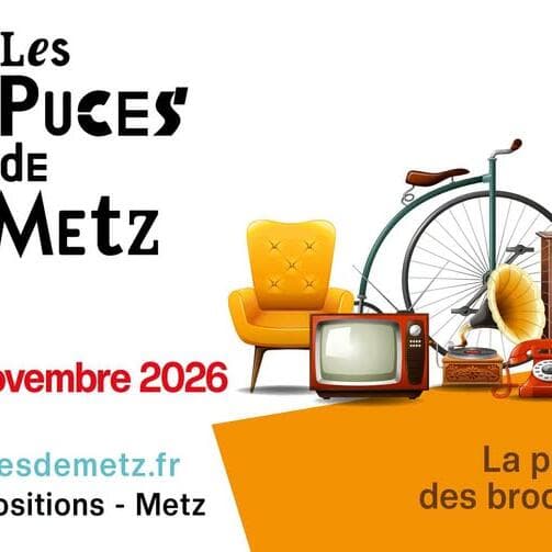 Les Puces de Metz