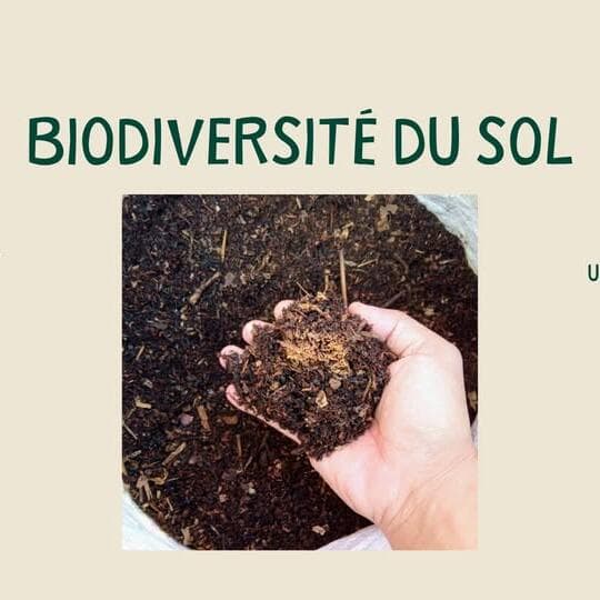 La biodiversité du sol : atelier théorique et pratique