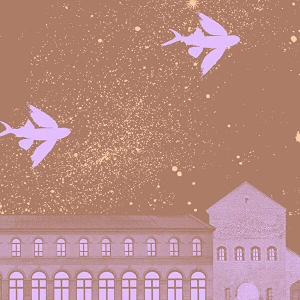 The Night at the Citadel