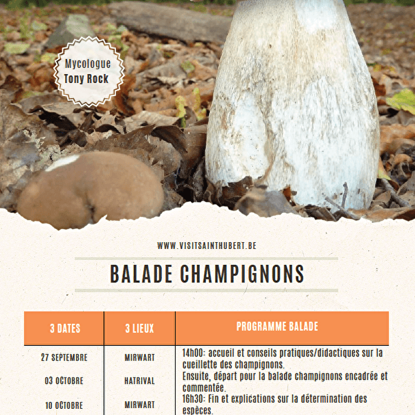 Balade champignons