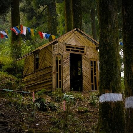 Journée nature - Ta cabane en forêt