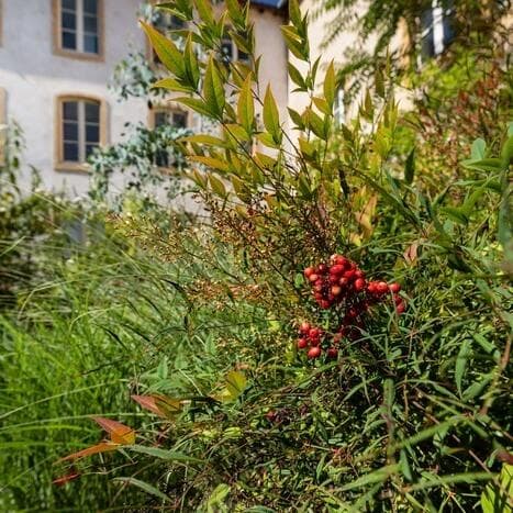 Visite jardin et patrimoine-matrimoine