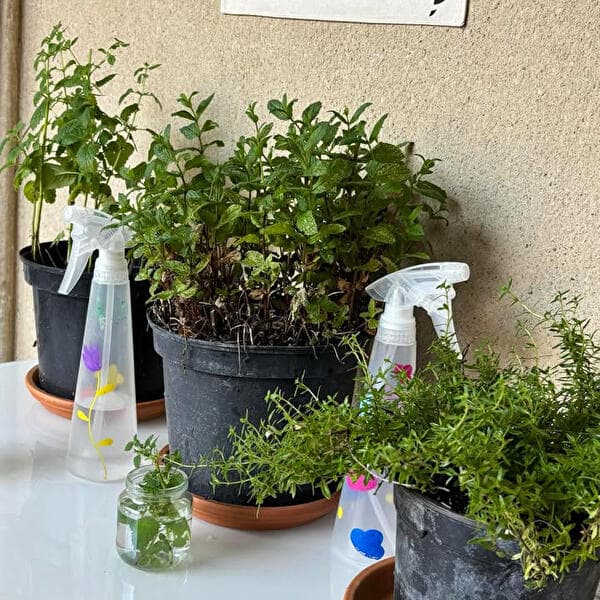Family Workshop: Take Root!
