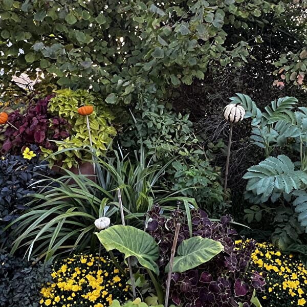 Workshop: Cuttings and Divisions