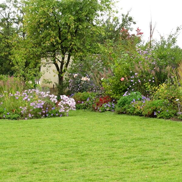 Stage - Choisir, planter et entretenir son arbre