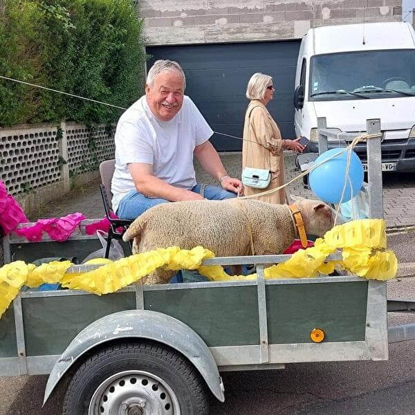 Sheep Walk