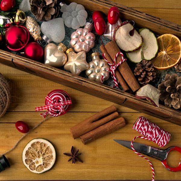 Poterowend | Christmas flower decoration