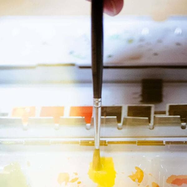 Watercolour workshop: Practice and exploration