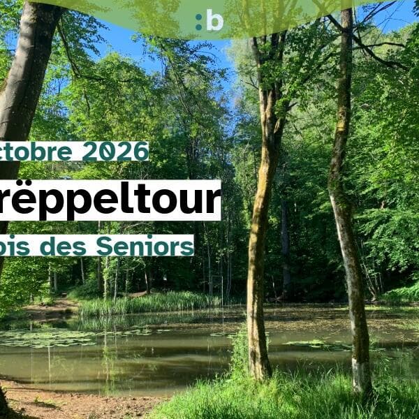 Randonnée : découvrez le sentier nature à travers l’Ellergronn