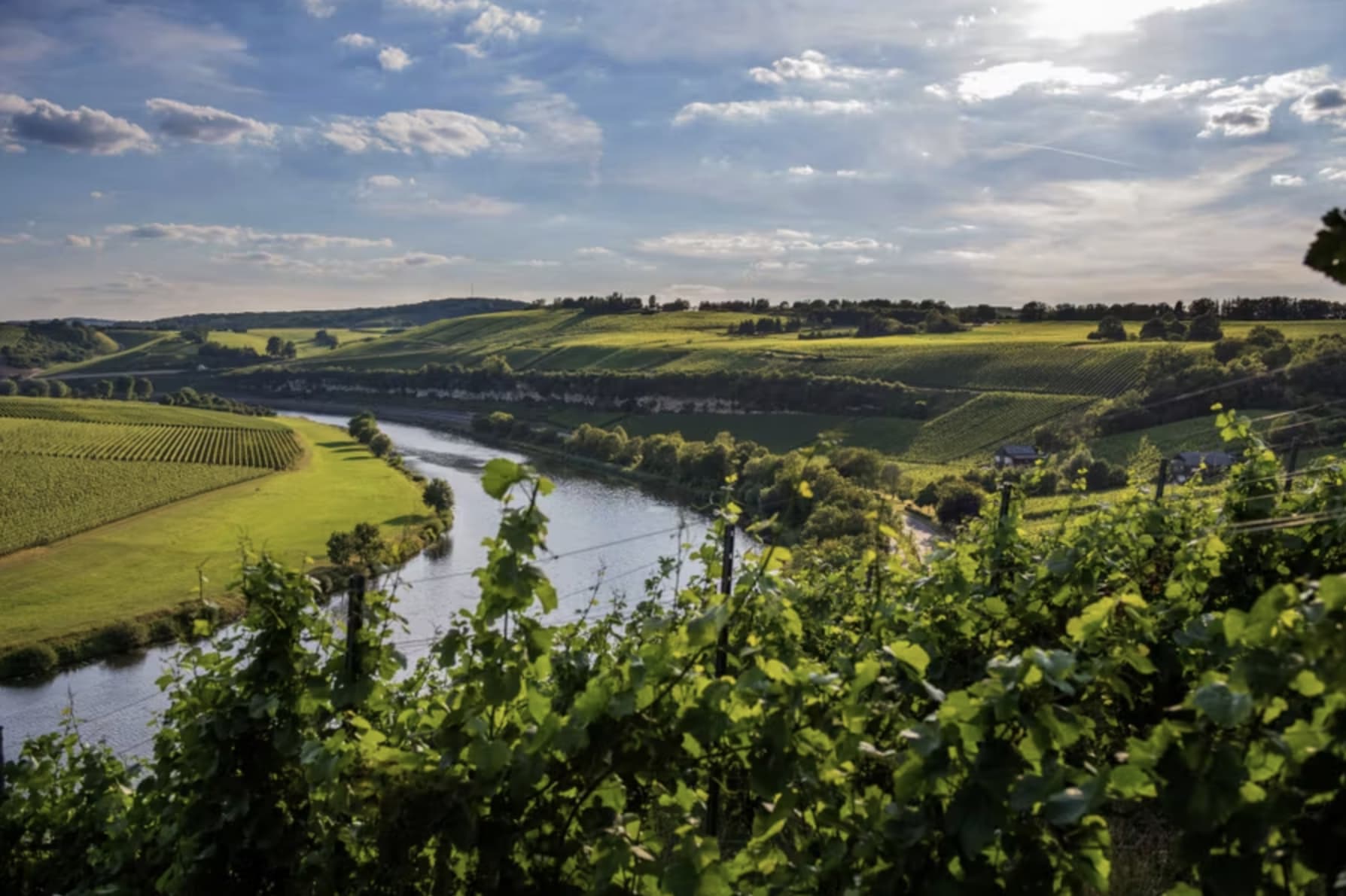 Cycle along the wine route - 3
