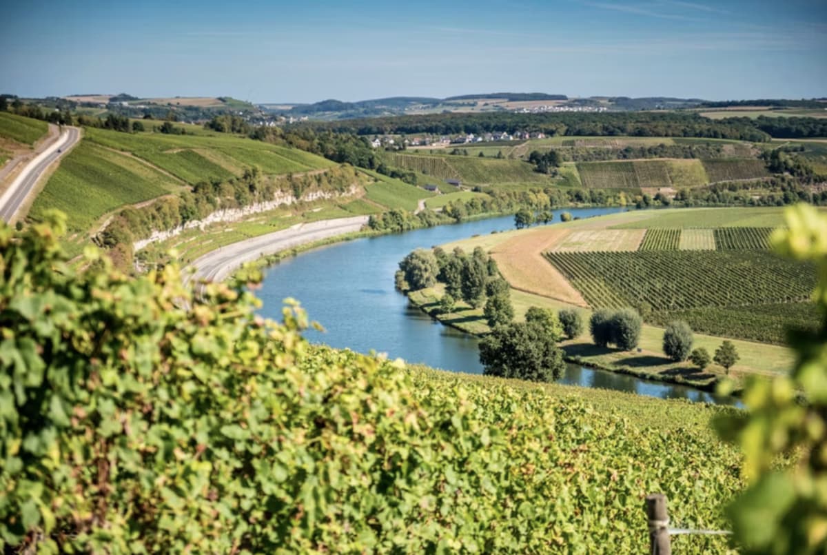 Cycle along the wine route - 2