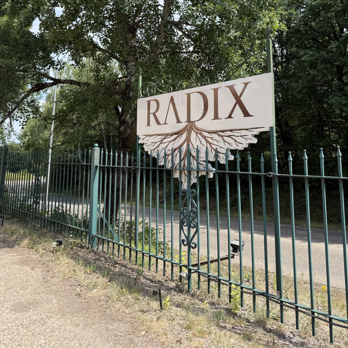 Radix: gourmet cuisine and terrace in the heart of nature - 8