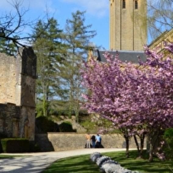 A monastic life - 1